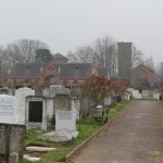 View from the rear of the grounds